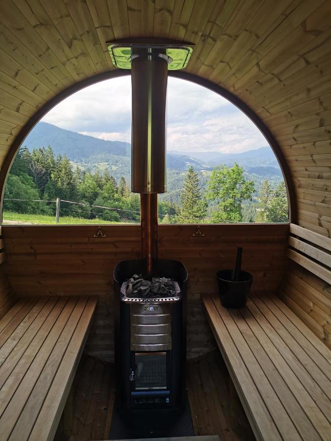 Apartments Petek Gornji Grad Екстериор снимка