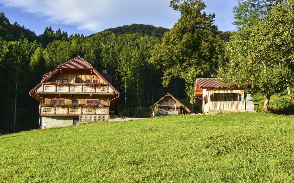Apartments Petek Gornji Grad Стая снимка