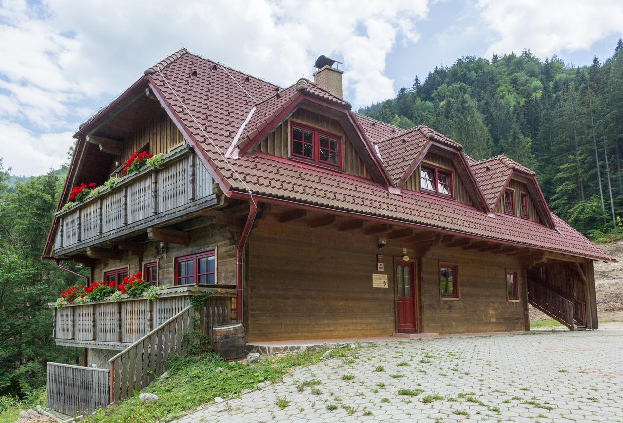 Apartments Petek Gornji Grad Екстериор снимка