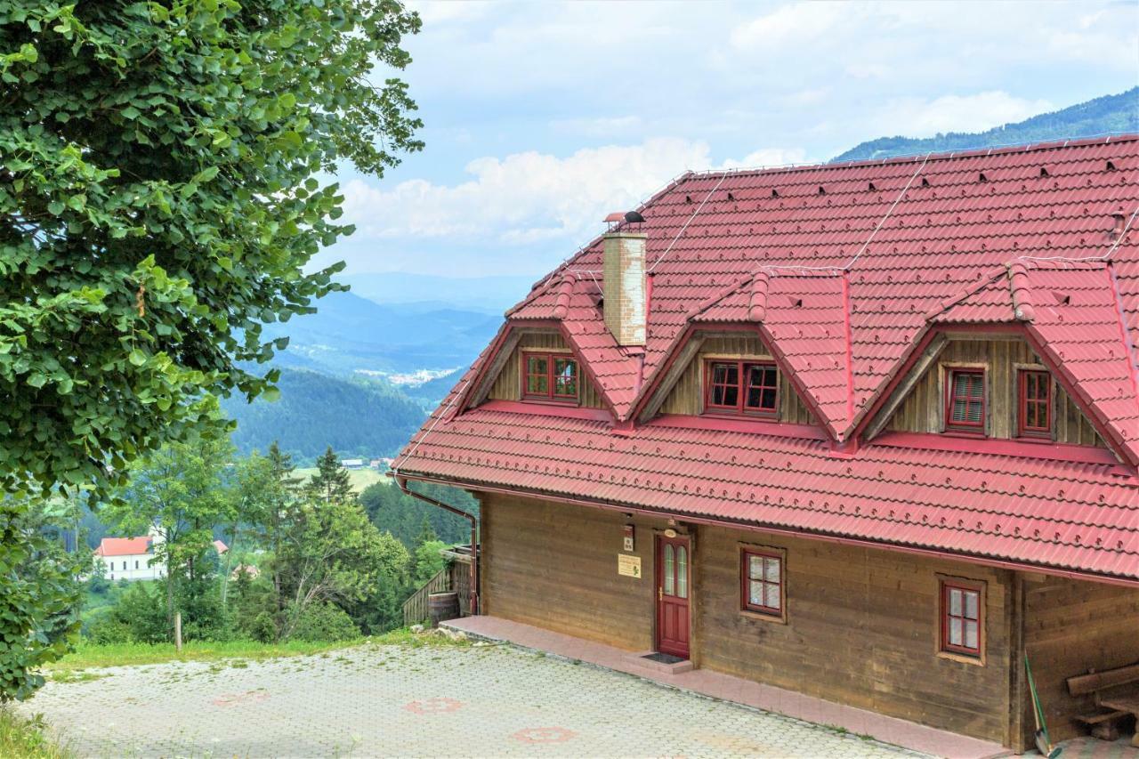 Apartments Petek Gornji Grad Екстериор снимка
